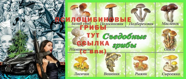 бошки Новозыбков