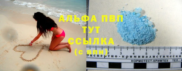 бошки Новозыбков