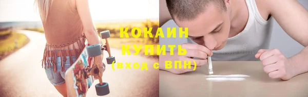 бошки Новозыбков