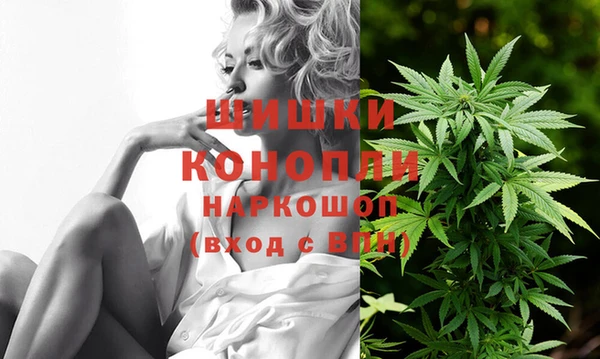 бошки Новозыбков