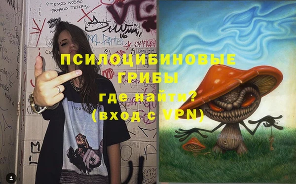 дживик Новодвинск