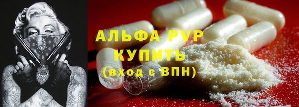 дживик Новодвинск